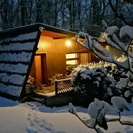 Chalpa Na Skarpie Villa Meszna Ngoại thất bức ảnh