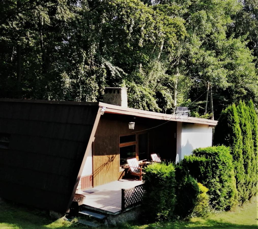 Chalpa Na Skarpie Villa Meszna Ngoại thất bức ảnh